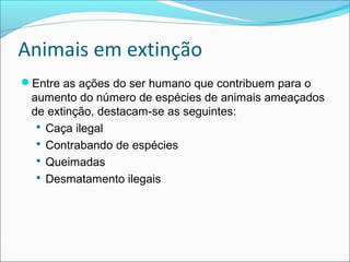 Animais em extinção
Entre as ações do ser humano que contribuem para o
aumento do número de espécies de animais ameaçados
de extinção, destacam-se as seguintes:
 Caça ilegal
 Contrabando de espécies
 Queimadas
 Desmatamento ilegais
 