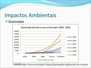 Impactos Ambientais
Queimadas
FONTE http://www.wwf.org.br/?26142/Queimadas-triplicaram-no-Cerrado
 
