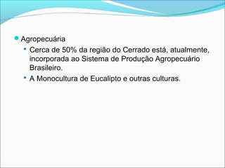 Agropecuária
 Cerca de 50% da região do Cerrado está, atualmente,
incorporada ao Sistema de Produção Agropecuário
Brasileiro.
 A Monocultura de Eucalipto e outras culturas.
 
