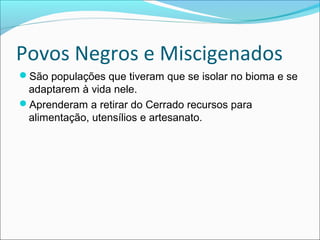 Povos Negros e Miscigenados
São populações que tiveram que se isolar no bioma e se
adaptarem à vida nele.
Aprenderam a retirar do Cerrado recursos para
alimentação, utensílios e artesanato.
 