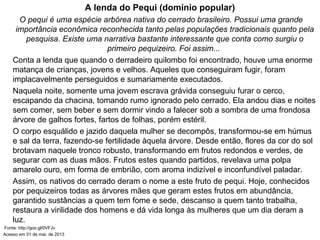 A lenda do Pequi (domínio popular)
O pequi é uma espécie arbórea nativa do cerrado brasileiro. Possui uma grande
importância econômica reconhecida tanto pelas populações tradicionais quanto pela
pesquisa. Existe uma narrativa bastante interessante que conta como surgiu o
primeiro pequizeiro. Foi assim...
Conta a lenda que quando o derradeiro quilombo foi encontrado, houve uma enorme
matança de crianças, jovens e velhos. Aqueles que conseguiram fugir, foram
implacavelmente perseguidos e sumariamente executados.
Naquela noite, somente uma jovem escrava grávida conseguiu furar o cerco,
escapando da chacina, tomando rumo ignorado pelo cerrado. Ela andou dias e noites
sem comer, sem beber e sem dormir vindo a falecer sob a sombra de uma frondosa
árvore de galhos fortes, fartos de folhas, porém estéril.
O corpo esquálido e jazido daquela mulher se decompôs, transformou-se em húmus
e sal da terra, fazendo-se fertilidade àquela árvore. Desde então, flores da cor do sol
brotavam naquele tronco robusto, transformando em frutos redondos e verdes, de
segurar com as duas mãos. Frutos estes quando partidos, revelava uma polpa
amarelo ouro, em forma de embrião, com aroma indizível e inconfundível paladar.
Assim, os nativos do cerrado deram o nome a este fruto de pequi. Hoje, conhecidos
por pequizeiros todas as árvores mães que geram estes frutos em abundância,
garantido sustâncias a quem tem fome e sede, descanso a quem tanto trabalha,
restaura a virilidade dos homens e dá vida longa às mulheres que um dia deram a
luz.
Fonte: http://goo.gl/0VFJv
Acesso em 01 de mai. de 2013
 
