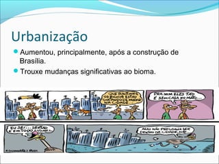 Urbanização
Aumentou, principalmente, após a construção de
Brasília.
Trouxe mudanças significativas ao bioma.
 
