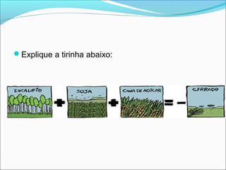 Explique a tirinha abaixo:
 