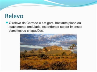 Relevo
O relevo do Cerrado é em geral bastante plano ou
suavemente ondulado, estendendo-se por imensos
planaltos ou chapadões.
 