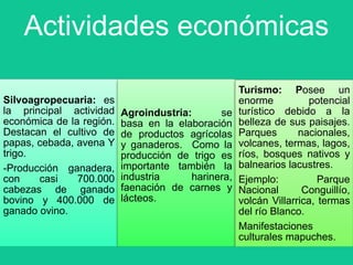 Actividades económicas
Silvoagropecuaria: es
la principal actividad
económica de la región.
Destacan el cultivo de
papas, cebada, avena Y
trigo.
-Producción ganadera,
con
casi
700.000
cabezas de ganado
bovino y 400.000 de
ganado ovino.

Agroindustria:
se
basa en la elaboración
de productos agrícolas
y ganaderos. Como la
producción de trigo es
importante también la
industria
harinera,
faenación de carnes y
lácteos.

Turismo: Posee un
enorme
potencial
turístico debido a la
belleza de sus paisajes.
Parques
nacionales,
volcanes, termas, lagos,
ríos, bosques nativos y
balnearios lacustres.
Ejemplo:
Parque
Nacional
Conguillío,
volcán Villarrica, termas
del río Blanco.
Manifestaciones
culturales mapuches.

 