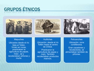 GRUPOS ÉTNICOS

Mapuches
Ubicados desde el río
Itata al Toltén.
Vivian en rucas,
practicaban la
agricultura de papas,
maíz , ají y
recolectaban piñones y
murta.

Huilliches
Ubicación: desde el río
Toltén hasta el centro
de Chiloé.
Practicaron la
agricultura de papas y
maíz. También
recolectaban productos
marinos.

Pehuenches
Ubicación: zona
cordillerana.
Eran cazadores y
recolectores, se
alimentaban también de
piñones.

 
