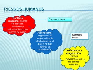 RIESGOS HUMANOS
Conflicto
mapuche: quema
de bosques,
camiones y
enfrentamiento con
fuerzas de orden.

Choque cultural

Alcoholismo:
región con el
mayor índice de
alcoholismo en el
país y no hay
centros de
rehabilitación.

Contraste
social

Delincuencia y
drogadicción:
ubicada
mayormente en
los centros
urbanos.

 
