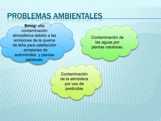 PROBLEMAS AMBIENTALES
Smog: alta
contaminación
atmosférica debido a las
emisiones de la quema
de leña para calefacción
, emisiones de
automóviles y plantas
celulosas.

Contaminación de
las aguas por
plantas celulosas.

Contaminación
de la atmósfera
por uso de
pesticidas

 