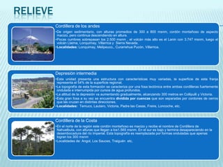 RELIEVE
Cordillera de los andes
•De origen sedimentario, con alturas promedios de 300 a 800 msnm, cordón montañoso de aspecto
macizo, pero continua descendiendo en altura.
•Pocas cumbres sobrepasan los 2.500 msnm , el volcán más alto es el Lanin con 3.747 msnm, luego el
volcán Llaima, Lonquimay, Villarrica y Sierra Nevada.
•Localidades: Lonquimay, Melipeuco,, Curarrehue Pucón, Villarrica.

Depresión intermedia
•Esta unidad presenta una estructura con características muy variadas, la superficie de esta franja
representa el 54% de la superficie regional.
•La topografía de esta formación se caracteriza por una fosa tectónica entre ambas cordilleras fuertemente
ondulada e interrumpida por cursos de agua profundos.
•La altitud de la depresión va aumentando gradualmente, alcanzando 300 metros en Collipulli y Victoria.
•Esta gran fosa a su vez se encuentra dividida por cuencas que son separadas por cordones de cerros
que las cruzan en distintas direcciones.
•Localidades: Temuco, Lautaro, Victoria, Padre las Casas, Freire, Loncoche, etc.

Cordillera de la Costa
•En el norte de la región este cordón montañoso es macizo y recibe el nombre de Cordillera de
Nahuelbuta, con alturas que llegan a los1.565 msnm. En el sur es bajo y termina desapareciendo en la
desembocadura del río Imperial. Esta topografía es reemplazada por formas onduladas que apenas
logran los 300 msnm
•Localidades de: Angol, Los Sauces, Traiguén etc.

 