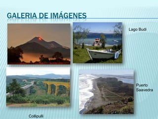 GALERIA DE IMÁGENES
Lago Budi

Puerto
Saavedra

Collipulli

 