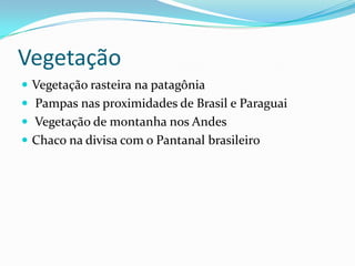 Vegetação
 Vegetação rasteira na patagônia
 Pampas nas proximidades de Brasil e Paraguai
 Vegetação de montanha nos Andes
 Chaco na divisa com o Pantanal brasileiro
 