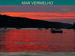 MAR VERMELHO
MAR VERMELHO
 