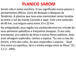 PLANICIE SAROM
Sarom não é nome semítico. O seu significado evoca poesia e
pensamentos idílicos: Zona de Bosques e Bosques de
Terebinto. A planície que leva esse memorável nome localiza-
se entre o Sul do monte Carmelo e Jope. Com uma extensão
de 85 km, sua largura varia entre 15 e 22 km.
Na antigüidade, essa região era conhecidíssima em virtude de
seus pântanos palúdicos e traiçoeiros bosques. O seu solo,
entretanto, era coberto de lírios e outras flores exóticas. Ante
esse selvagem esplendor, cantou a esposa: "Eu sou a rosa de
Sarom, o lírio dos vales. Ao que respondeu o esposo: - Qual
lírio entre os espinhos, tal é a minha amiga entre as filhas" (Ct
2.1,2 - ARA).
 