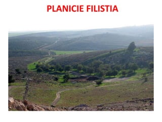 PLANICIE FILISTIA
 