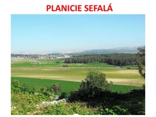 PLANICIE SEFALÁ
 