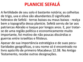 PLANICIE SEFALÁ
A fertilidade de seu solo é bastante notória; as colheitas
de trigo, uva e oliva são abundantes.O significado
hebraico de Sefelá - terras baixas ou maus baixas - realça
bem a topografia dessa planície. Sefelá serviu de lar aos
patriarcas Abraão e Isaque por longos anos. E, por tratar-
se de uma região política e economicamente muito
importante, foi motivo de não poucas discórdias e
guerras entre israelitas e filisteus.
Apesar de sua importância estratégica e de suas pecu-
liaridades geográficas, o seu nome só é encontrado no
livro apócrifo de primeiro Macabeus 12.38. No Antigo
Testamento, recebe outras designações.
 