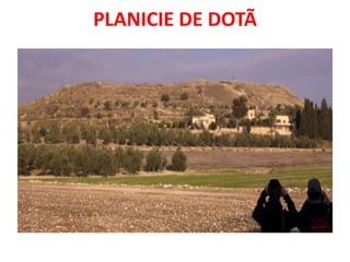 PLANICIE DE DOTÃ
 