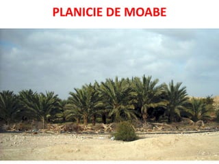 PLANICIE DE MOABE
 