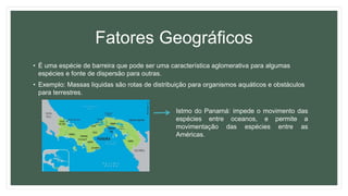 Terra do Fogo - localização, características, fotos, história - Geografia -  InfoEscola
