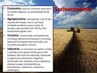 Socioeconomia Economia:  Está em constante ascensão e no âmbito regional, sua participação foi de 18,1%.  Agropecuária:  corresponde a 28,1% das riquezas do estado, mas é a principal atividade econômica, pois o setor de serviços, que contribui com 55,5%, está diretamente ligado a ela. Turismo:   é promovido, principalmente, no Parque Nacional do Pantanal e no Parque Nacional da Chapada dos Guimarães, por suas belas paisagens naturais. Industria:   se concentra na capital, Cuiabá, e contribui com apenas 16,4% para o PIB estadual. Mas está em expansão, sobretudo os segmentos alimentício, frigorífico, construção civil, cerâmica, couro-calçadista, celulose e papel, eletroeletrônica, farmacêutica, madeireira, mecânica e metalúrgica 