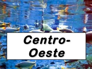 Centro-Oeste 