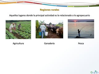 Regiones rurales
Aquellos lugares donde la principal actividad es lo relacionado a lo agropecuario
Agricultura Ganadería Pesca
 