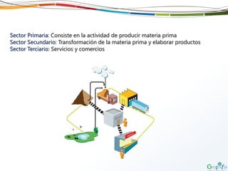 Sector Primaria: Consiste en la actividad de producir materia prima
Sector Secundario: Transformación de la materia prima y elaborar productos
Sector Terciario: Servicios y comercios
 