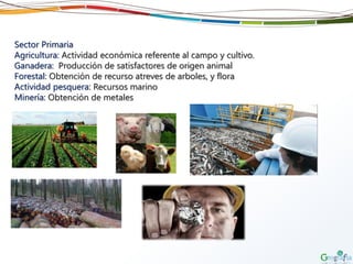 Sector Primaria
Agricultura: Actividad económica referente al campo y cultivo.
Ganadera: Producción de satisfactores de origen animal
Forestal: Obtención de recurso atreves de arboles, y flora
Actividad pesquera: Recursos marino
Minería: Obtención de metales
 