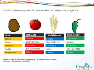 Estados con mayor producción en toneladas por cada producto agrícola
PAPA
Sonora
Sinaloa
Veracruz
Puebla
Nuevo León
JITOMATE
Sinaloa
Baja California
Zacatecas
San Luis Potosí
Jalisco
TRIGO GRANO
Sonora
Baja California
Chihuahua
Jalisco
Tlaxcala
CHILE VERDE
Chihuahua
Sinaloa
Zacatecas
San Luis Potosí
Jalisco
Basado en datos del Instituto Nacional Estadístico y de Geografía (INEGI) , Anuario
Estadístico y Geográfico por entidad, 2014
 