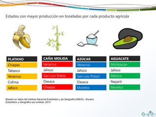 Estados con mayor producción en toneladas por cada producto agrícola
PLATANO
Chiapas
Tabasco
Veracruz
Colima
Jalisco
CAÑA MOLIDA
Veracruz
Jalisco
San Luis Potosí
Oaxaca
Chiapas
AZÚCAR
Veracruz
Jalisco
San Luis Potosí
Oaxaca
Morelos
AGUACATE
Michoacán
Jalisco
México
Nayarit
Morelos
Basado en datos del Instituto Nacional Estadístico y de Geografía (INEGI) , Anuario
Estadístico y Geográfico por entidad, 2014
 