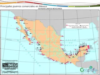 Principales puerros comerciales en México
 