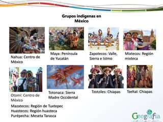 Grupos indígenas en
México
Nahua: Centro de
México
Maya: Península
de Yucatán
Zapotecos: Valle,
Sierra e Istmo
Mixtecos: Región
mixteca
Otomí: Centro de
México
Totonaca: Sierra
Madre Occidental
Tzotziles: Chiapas Tzeltal: Chiapas
Mazatecos: Región de Tuxtepec
Huastecos: Región huasteca
Purépecha: Meseta Tarasca
 