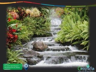 TEMA 2
RECURSOS NATURALEZ Y
PRESERVACION DEL MEDIO
AMBIENTE
 