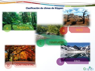 C TEMPLADO
Clasificación de climas de Köppen
A TROPICAL
B SECO
D CONTINENTAL
E FRIO
 