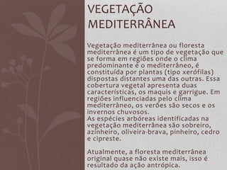 Vegetação mediterrânea ou floresta
mediterrânea é um tipo de vegetação que
se forma em regiões onde o clima
predominante é o mediterrâneo, é
constituída por plantas (tipo xerófilas)
dispostas distantes uma das outras. Essa
cobertura vegetal apresenta duas
características, os maquis e garrigue. Em
regiões influenciadas pelo clima
mediterrâneo, os verões são secos e os
invernos chuvosos.
As espécies arbóreas identificadas na
vegetação mediterrânea são sobreiro,
azinheiro, oliveira-brava, pinheiro, cedro
e cipreste.
Atualmente, a floresta mediterrânea
original quase não existe mais, isso é
resultado da ação antrópica.
VEGETAÇÃO
MEDITERRÂNEA
 