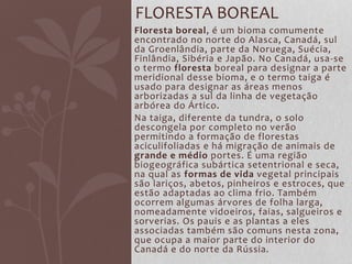 Floresta boreal, é um bioma comumente
encontrado no norte do Alasca, Canadá, sul
da Groenlândia, parte da Noruega, Suécia,
Finlândia, Sibéria e Japão. No Canadá, usa-se
o termo floresta boreal para designar a parte
meridional desse bioma, e o termo taiga é
usado para designar as áreas menos
arborizadas a sul da linha de vegetação
arbórea do Ártico.
Na taiga, diferente da tundra, o solo
descongela por completo no verão
permitindo a formação de florestas
aciculifoliadas e há migração de animais de
grande e médio portes. É uma região
biogeográfica subártica setentrional e seca,
na qual as formas de vida vegetal principais
são lariços, abetos, pinheiros e estroces, que
estão adaptadas ao clima frio. Também
ocorrem algumas árvores de folha larga,
nomeadamente vidoeiros, faias, salgueiros e
sorverias. Os pauis e as plantas a eles
associadas também são comuns nesta zona,
que ocupa a maior parte do interior do
Canadá e do norte da Rússia.
FLORESTA BOREAL
 