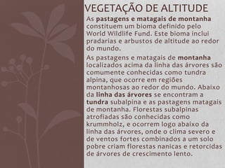 As pastagens e matagais de montanha
constituem um bioma definido pelo
World Wildlife Fund. Este bioma inclui
pradarias e arbustos de altitude ao redor
do mundo.
As pastagens e matagais de montanha
localizados acima da linha das árvores são
comumente conhecidas como tundra
alpina, que ocorre em regiões
montanhosas ao redor do mundo. Abaixo
da linha das árvores se encontram a
tundra subalpina e as pastagens matagais
de montanha. Florestas subalpinas
atrofiadas são conhecidas como
krummholz, e ocorrem logo abaixo da
linha das árvores, onde o clima severo e
de ventos fortes combinados a um solo
pobre criam florestas nanicas e retorcidas
de árvores de crescimento lento.
VEGETAÇÃO DE ALTITUDE
 