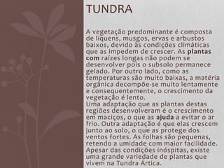 A vegetação predominante é composta
de líquens, musgos, ervas e arbustos
baixos, devido às condições climáticas
que as impedem de crescer. As plantas
com raízes longas não podem se
desenvolver pois o subsolo permanece
gelado. Por outro lado, como as
temperaturas são muito baixas, a matéria
orgânica decompõe-se muito lentamente
e consequentemente, o crescimento da
vegetação é lento.
Uma adaptação que as plantas destas
regiões desenvolveram é o crescimento
em maciços, o que as ajuda a evitar o ar
frio. Outra adaptação é que elas crescem
junto ao solo, o que as protege dos
ventos fortes. As folhas são pequenas,
retendo a umidade com maior facilidade.
Apesar das condições inóspitas, existe
uma grande variedade de plantas que
vivem na Tundra Ártica.
TUNDRA
 