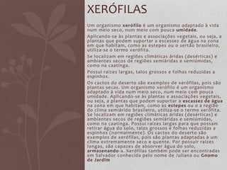 Um organismo xerófilo é um organismo adaptado à vida
num meio seco, num meio com pouca umidade.
Aplicando-se às plantas e associações vegetais, ou seja, a
plantas que podem suportar a escassez de água na zona
em que habitam, como as estepes ou o sertão brasileiro,
utiliza-se o termo xerófita.
Se localizam em regiões climáticas áridas (desérticas) e
ambientes secos de regiões semiáridas e semiúmidas,
como na caatinga.
Possui raízes largas, talos grossos e folhas reduzidas a
espinhos.
Os cactos do deserto são exemplos de xerófilas, pois são
plantas secas. Um organismo xerófilo é um organismo
adaptado à vida num meio seco, num meio com pouca
umidade. Aplicando-se às plantas e associações vegetais,
ou seja, a plantas que podem suportar a escassez de água
na zona em que habitam, como as estepes ou o a região
do clima semiárido brasileiro, utiliza-se o termo xerófita.
Se localizam em regiões climáticas áridas (desérticas) e
ambientes secos de regiões semiáridas e semiúmidas,
como na caatinga. Possui raízes largas para que possam
retirar água do solo, talos grossos e folhas reduzidas a
espinhos (normalmente). Os cactos do deserto são
exemplos de xerófilas, pois são plantas adaptadas à um
clima extremamente seco e quente. Por possuir raízes
longas, são capazes de absorver água do solo,
armazenando-a. Xerófilas também pode ser encontradas
em Salvador conhecida pelo nome de Juliana ou Gnomo
de Jardim
XERÓFILAS
 