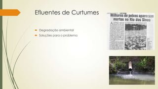 Efluentes de Curtumes
 Degradação ambiental
 Soluções para o problema
 