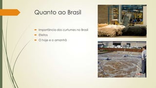 Quanto ao Brasil
 Importância dos curtumes no Brasil
 Efeitos
 O hoje e o amanhã
 