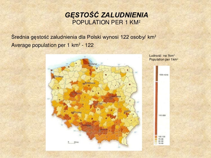średnia Gęstość Zaludnienia Polski Wynosi Geografia czlowieka