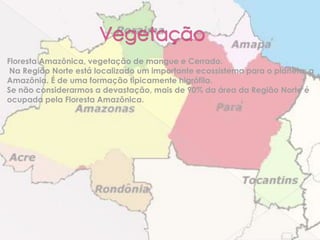 Floresta Amazônica, vegetação de mangue e Cerrado.
Na Região Norte está localizado um importante ecossistema para o planeta: a
Amazônia. É de uma formação tipicamente higrófila.
Se não considerarmos a devastação, mais de 90% da área da Região Norte é
ocupada pela Floresta Amazônica.
 