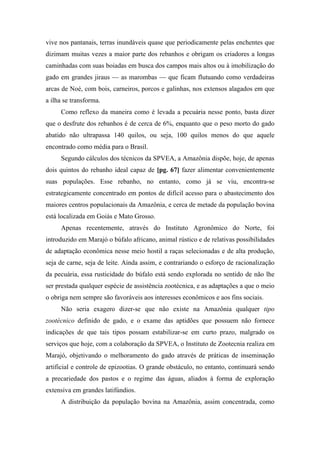 vive nos pantanais, terras inundáveis quase que periodicamente pelas enchentes que
dizimam muitas vezes a maior parte dos rebanhos e obrigam os criadores a longas
caminhadas com suas boiadas em busca dos campos mais altos ou à imobilização do
gado em grandes jiraus — as marombas — que ficam flutuando como verdadeiras
arcas de Noé, com bois, carneiros, porcos e galinhas, nos extensos alagados em que
a ilha se transforma.
Como reflexo da maneira como é levada a pecuária nesse ponto, basta dizer
que o desfrute dos rebanhos é de cerca de 6%, enquanto que o peso morto do gado
abatido não ultrapassa 140 quilos, ou seja, 100 quilos menos do que aquele
encontrado como média para o Brasil.
Segundo cálculos dos técnicos da SPVEA, a Amazônia dispõe, hoje, de apenas
dois quintos do rebanho ideal capaz de [pg. 67] fazer alimentar convenientemente
suas populações. Esse rebanho, no entanto, como já se viu, encontra-se
estrategicamente concentrado em pontos de difícil acesso para o abastecimento dos
maiores centros populacionais da Amazônia, e cerca de metade da população bovina
está localizada em Goiás e Mato Grosso.
Apenas recentemente, através do Instituto Agronômico do Norte, foi
introduzido em Marajó o búfalo africano, animal rústico e de relativas possibilidades
de adaptação econômica nesse meio hostil a raças selecionadas e de alta produção,
seja de carne, seja de leite. Ainda assim, e contrariando o esforço de racionalização
da pecuária, essa rusticidade do búfalo está sendo explorada no sentido de não lhe
ser prestada qualquer espécie de assistência zootécnica, e as adaptações a que o meio
o obriga nem sempre são favoráveis aos interesses econômicos e aos fins sociais.
Não seria exagero dizer-se que não existe na Amazônia qualquer tipo
zootécnico definido de gado, e o exame das aptidões que possuem não fornece
indicações de que tais tipos possam estabilizar-se em curto prazo, malgrado os
serviços que hoje, com a colaboração da SPVEA, o Instituto de Zootecnia realiza em
Marajó, objetivando o melhoramento do gado através de práticas de inseminação
artificial e controle de epizootias. O grande obstáculo, no entanto, continuará sendo
a precariedade dos pastos e o regime das águas, aliados à forma de exploração
extensiva em grandes latifúndios.
A distribuição da população bovina na Amazônia, assim concentrada, como
 