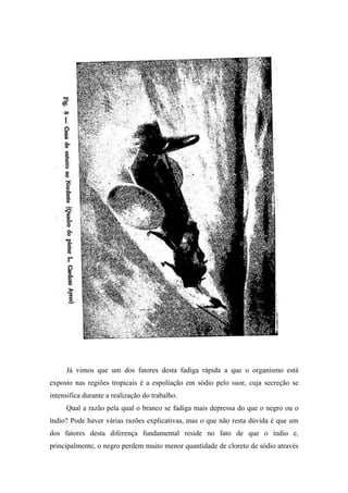 Já vimos que um dos fatores desta fadiga rápida a que o organismo está
exposto nas regiões tropicais é a espoliação em sódio pelo suor, cuja secreção se
intensifica durante a realização do trabalho.
Qual a razão pela qual o branco se fadiga mais depressa do que o negro ou o
índio? Pode haver várias razões explicativas, mas o que não resta dúvida é que um
dos fatores desta diferença fundamental reside no fato de que o índio e,
principalmente, o negro perdem muito menor quantidade de cloreto de sódio através
 