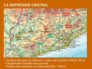 LA DEPRESSIÓ CENTRAL La plana més gran de Catalunya i s'obre cap a ponent (Vall de l’Ebre) Lleugerament inclinada cap a ponent  Altituds més importants, al voltant dels 800 / 1.000 m Altiplà del Lluçanès Altiplà del Moianès Plana de Vic Pla de Bages Conca d’Òdena Conca de Barberà Pla de Lleida Pla  d’Urgell Altiplà  Central o de la Segarra 