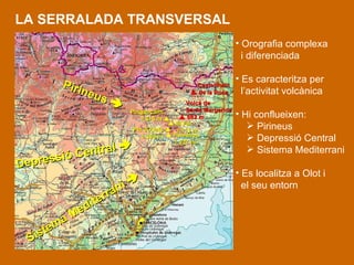 LA SERRALADA TRANSVERSAL Orografia complexa   i diferenciada   Es caracteritza per   l’activitat volcànica   Hi conflueixen : Pirineus Depressió Central Sistema Mediterrani Es localitza a Olot i el seu entorn Puigsacalm  1.515 m   Volcà de  Santa Margarida    682 m Pla d’Aiats   1.306 m  Finestres 1.027 m  El Far 1.111 m  Castellfollit    de la Roca Pirineus   Depressió Central   Sistema Mediterrani   