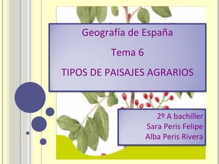 Geografía de España Tema 6 TIPOS DE PAISAJES AGRARIOS 2º A bachiller Sara Peris Felipe Alba Peris Rivera 