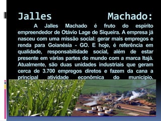 Jalles Machado:
A Jalles Machado é fruto do espírito
empreendedor de Otávio Lage de Siqueira. A empresa já
nasceu com uma missão social: gerar mais empregos e
renda para Goianésia - GO. E hoje, é referência em
qualidade, responsabilidade social, além de estar
presente em várias partes do mundo com a marca Itajá.
Atualmente, são duas unidades industriais que geram
cerca de 3.700 empregos diretos e fazem da cana a
principal atividade econômica do município.
 