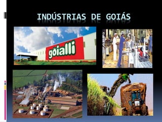 INDÚSTRIAS DE GOIÁS
 